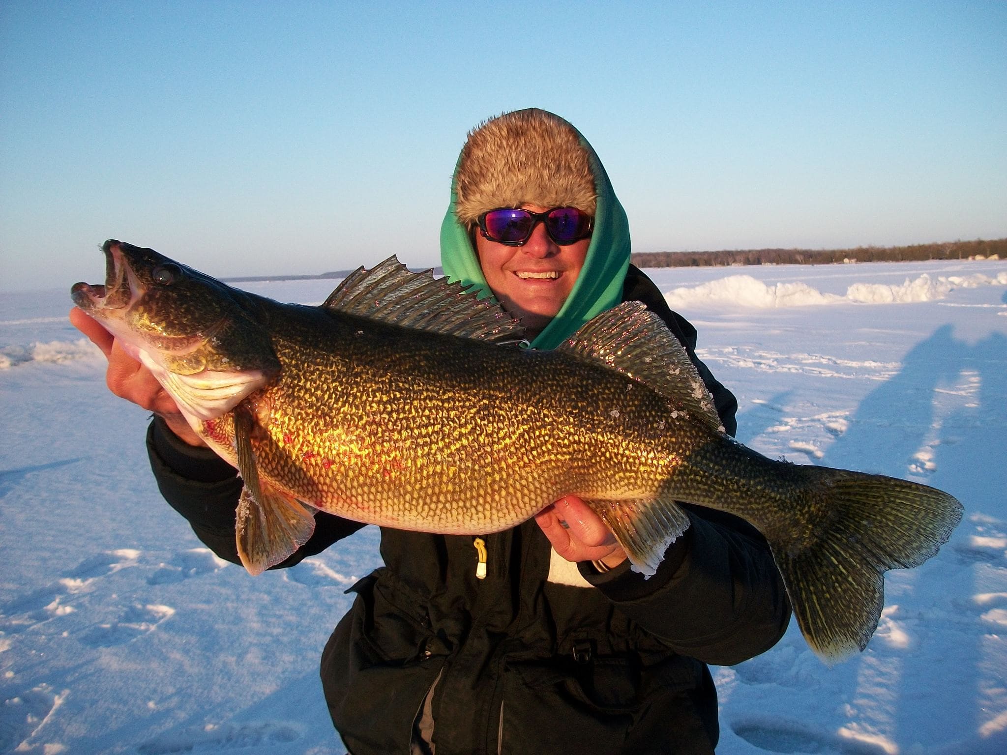 Ice walleye fishing at Wacky Walleye Guide Services